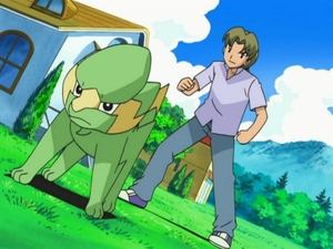 Pokémon Zespół Electrike’a