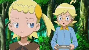 Pokémon Waśnie spadkobierców!
