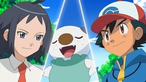 Pokémon Mamy nowego Lidera w mieście!