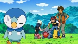 Pokémon Gdzie jesteś, Piplup?