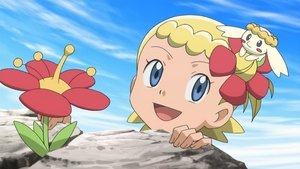 Pokémon W poszukiwaniu bajkowego kwiatu!