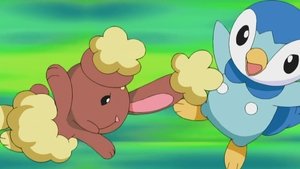 Pokémon Wszystkie oczy na Buneary!