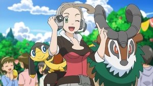 Pokémon Dziennikarka z innego regionu!