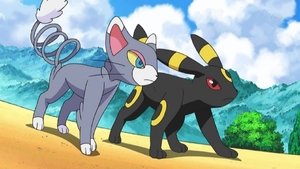 Pokémon Domowa strategia
