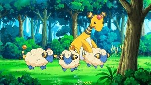 Pokémon Światło Rancza we Floccesy!