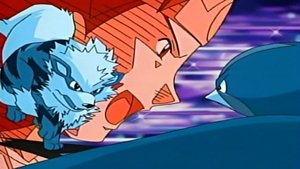 Pokémon Odcinek 8