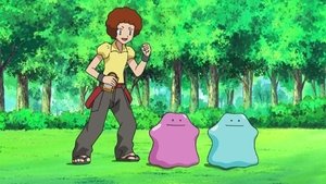 Pokémon Podwójny Ditto dramat!