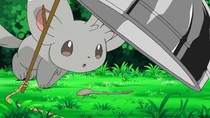Pokémon Mincinno - czyścioszek!