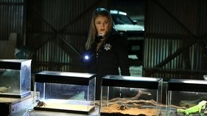 CSI: Kryminalne zagadki Las Vegas Dwie dziewczyny