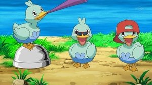 Pokémon Taniec z Ducklettami!