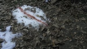 Agenci NCIS Odcinek 14