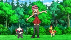 Pokémon Sposoby na zacieśnienie współpracy!