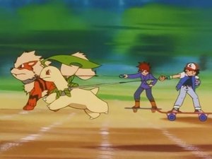 Pokémon Ekstremalne Pokémony