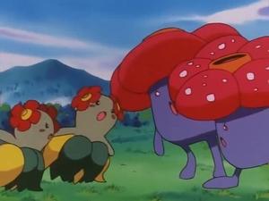 Pokémon Skąd wieje wiatr?