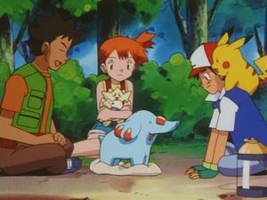 Pokémon Witaj, Phanpy!