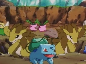 Pokémon Ambasador Bulbasaur