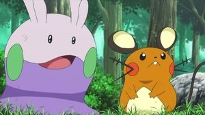 Pokémon Wszyscy za Goomy'ego!