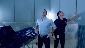 Hawaii 5.0 Odcinek 20