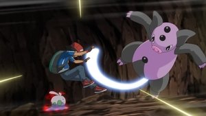 Pokémon Oaza nadziei!