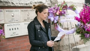 Chicago P.D. Brawo, mała