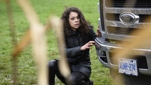 Orphan Black Nowe elementy naszej obrony
