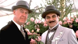 Poirot Co masz w swoim ogródeczku?