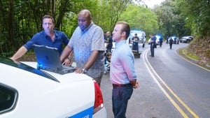 Hawaii 5.0 Odcinek 24