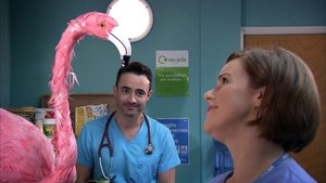 Holby City Odcinek 27