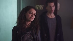 Orphan Black Historia, która dopiero zostanie napisana