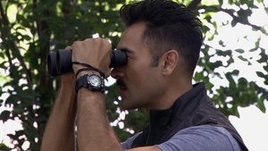 El Señor de los Cielos Odcinek 39