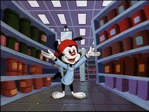 Animaniacy Odcinek 17