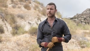 Ray Donovan Tulipany