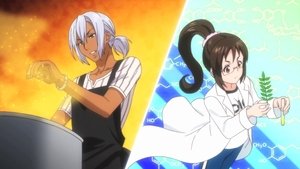 Shokugeki no Souma Wybrańcy