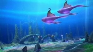 Klub Winx Śpiewające wieloryby