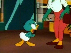 Przygody Animków Dzień nowych wykładów