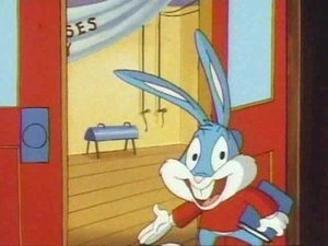 Przygody Animków Animkowizja