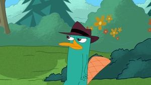 Fineasz i Ferb Nawet nie mrugnij