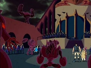 Klub Winx Wyprawa na Domino