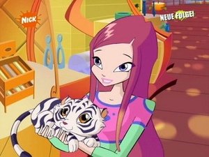 Klub Winx 7 to idealna liczba