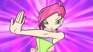Klub Winx Witamy w Magix