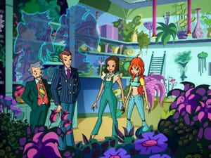 Klub Winx Dawna tajemnica