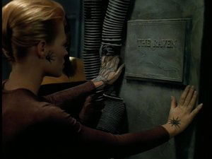 Star Trek: Voyager Kruk