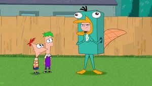 Fineasz i Ferb Pepe znosi jajko