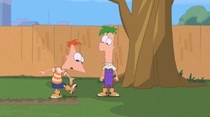 Fineasz i Ferb Biegnij, Fretka, biegnij