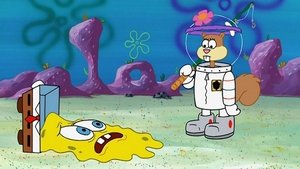 SpongeBob Kanciastoporty Przed hibernacją