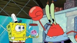 SpongeBob Kanciastoporty Łowca meduz