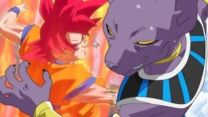 Dragon Ball Super Walczymy dalej, Lordzie Beerusie! Pojedynek bogów trwa!