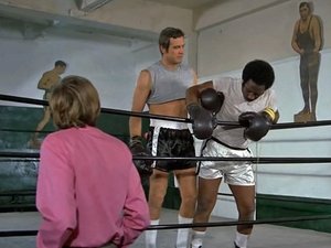 The Six Million Dollar Man Odcinek 17