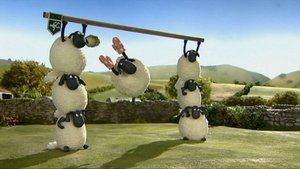 Baranek Shaun Piłka
