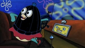 SpongeBob Kanciastoporty Nielekka jazda